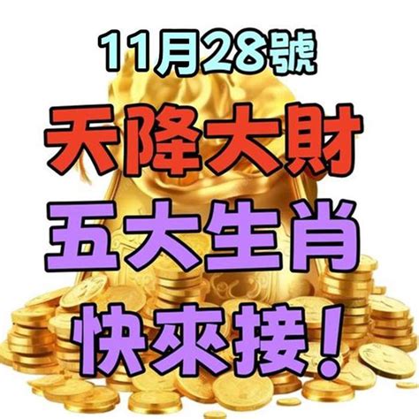 11月28號星座